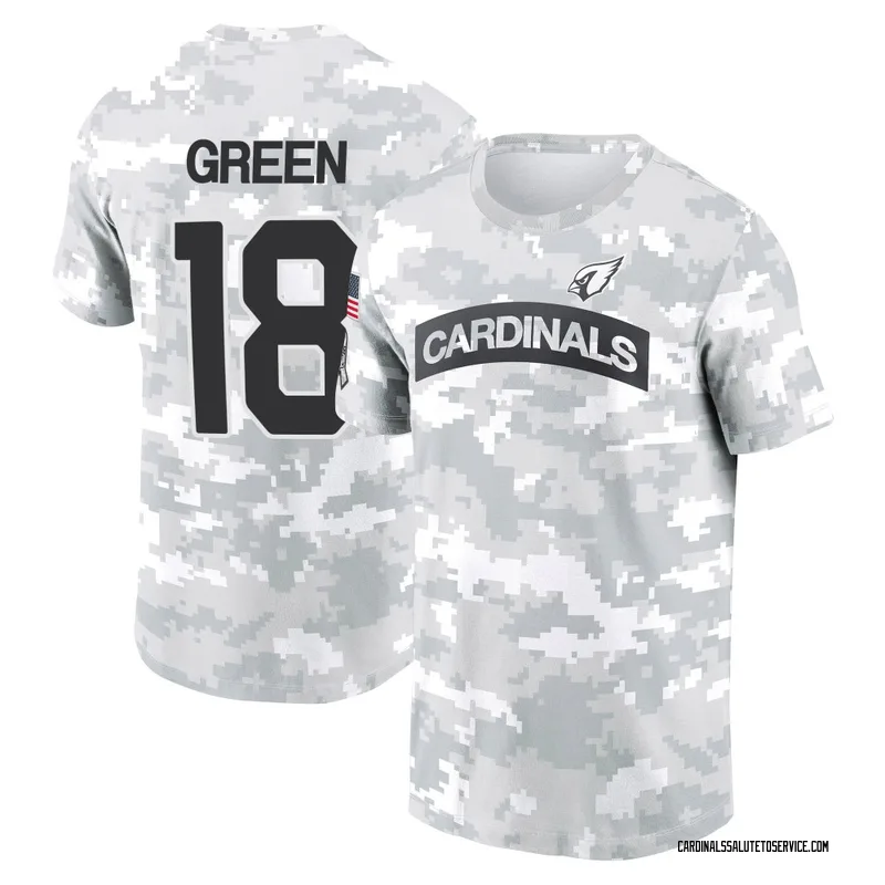 Men's A.J. Green Arizona Cardinals Camo Arctic 2024 Salute to Service Performance T-Shirt