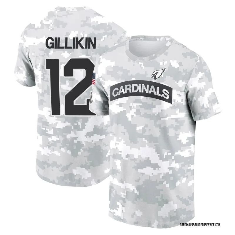 Men's Blake Gillikin Arizona Cardinals Camo Arctic 2024 Salute to Service Performance T-Shirt