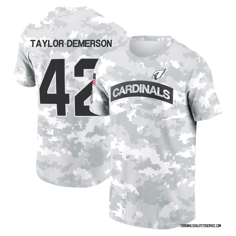 Men's Dadrion Taylor-Demerson Arizona Cardinals Camo Arctic 2024 Salute to Service Performance T-Shirt