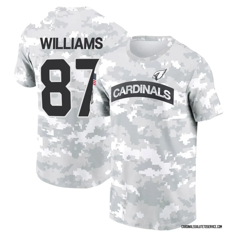 Men's Maxx Williams Arizona Cardinals Camo Arctic 2024 Salute to Service Performance T-Shirt