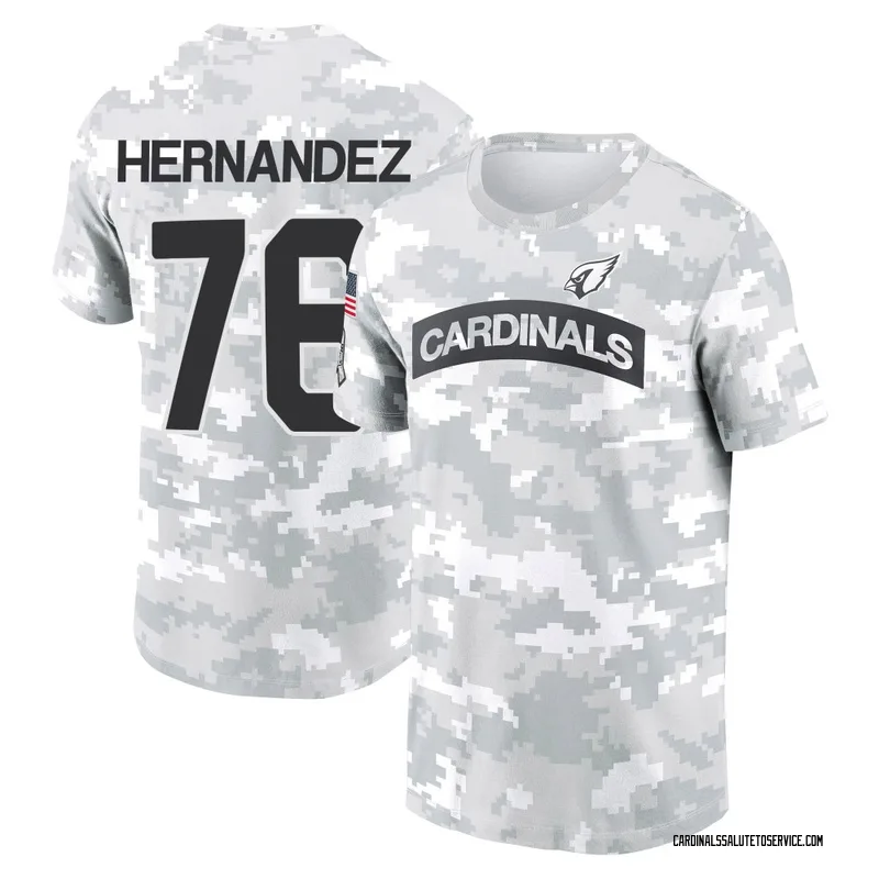 Men's Will Hernandez Arizona Cardinals Camo Arctic 2024 Salute to Service Performance T-Shirt