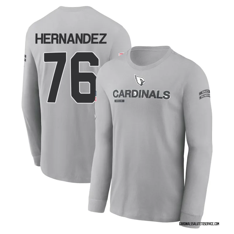 Men's Will Hernandez Arizona Cardinals Gray 2024 Salute to Service Long Sleeve T-Shirt