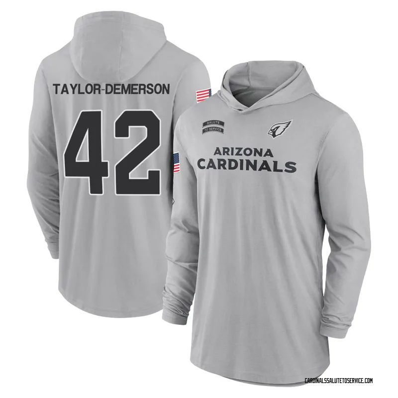 Youth Dadrion Taylor-Demerson Arizona Cardinals Gray 2024 Salute to Service Lightweight Performance Long Sleeve Hooded T-Shirt