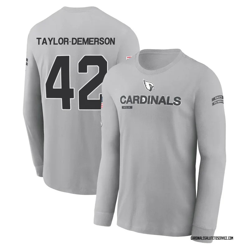 Youth Dadrion Taylor-Demerson Arizona Cardinals Gray 2024 Salute to Service Long Sleeve T-Shirt